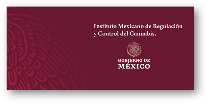 Uso del cannabis y regulación en México-Instituto Méxicano