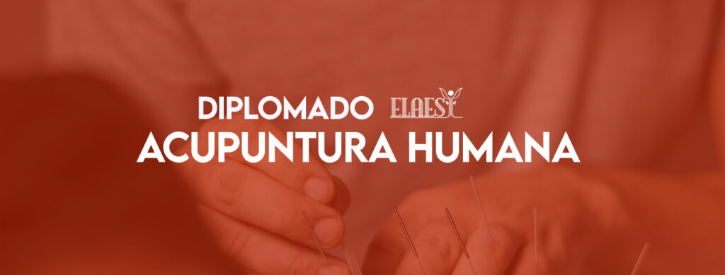 Diplomado De Acupuntura Humana Cuernavaca