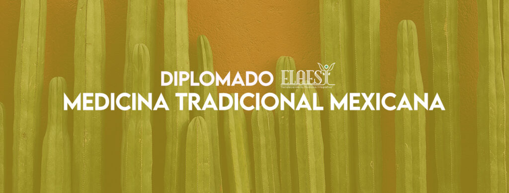 Diplomado De Medicina Tradicional Mexicana Cuernavaca